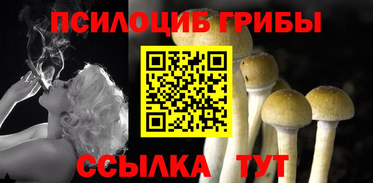 Всеволожск  даркнет сайт  Вход с VPN  Галлюциногенные грибы Magic Shrooms 
